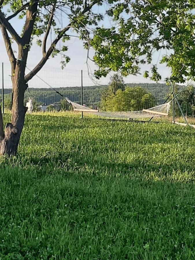 Gosp. Agroturystyczne Stary Gaj Zerkowice Exterior foto