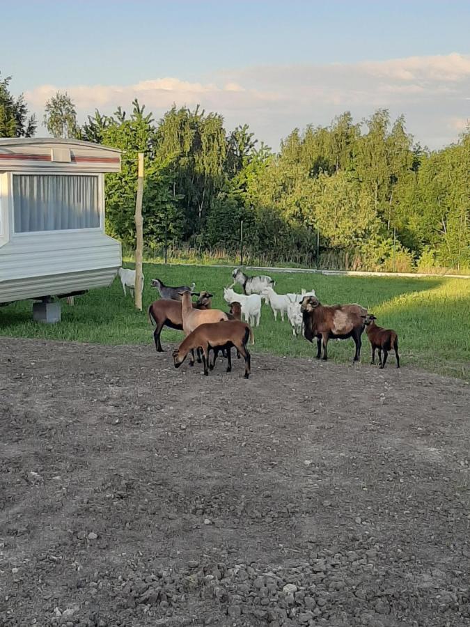Gosp. Agroturystyczne Stary Gaj Zerkowice Exterior foto