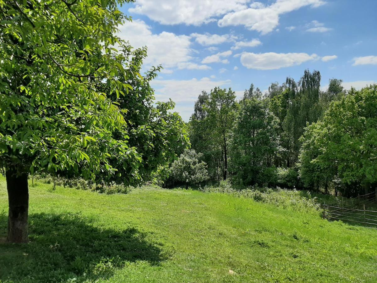 Gosp. Agroturystyczne Stary Gaj Zerkowice Exterior foto